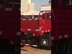 Howo 4*2 Camion léger Camion cargo